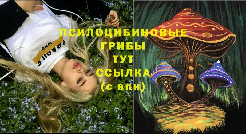 Галлюциногенные грибы Psilocybe  купить наркотики сайты  Артёмовск 